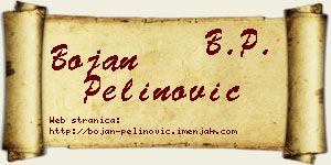 Bojan Pelinović vizit kartica